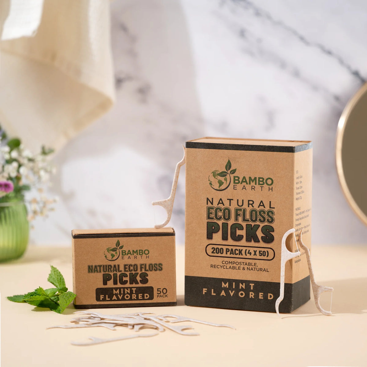 Floss Picks Charcoal & Mint (BG)