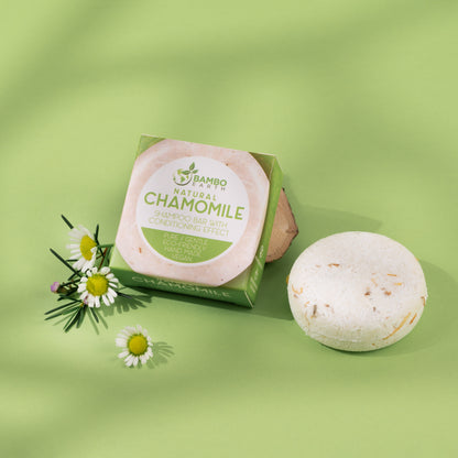 Shampoo Bars 4 Pack