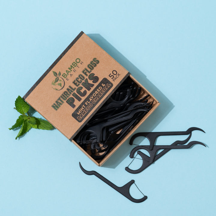Floss Picks Charcoal & Mint 50 Pack (BG)