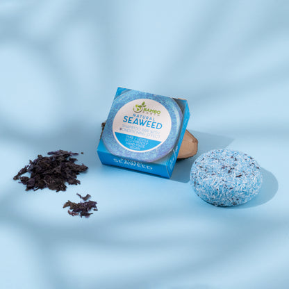 Shampoo Bars 4 Pack