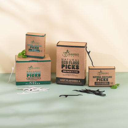 Floss Picks Charcoal & Mint 50 Pack (BG)