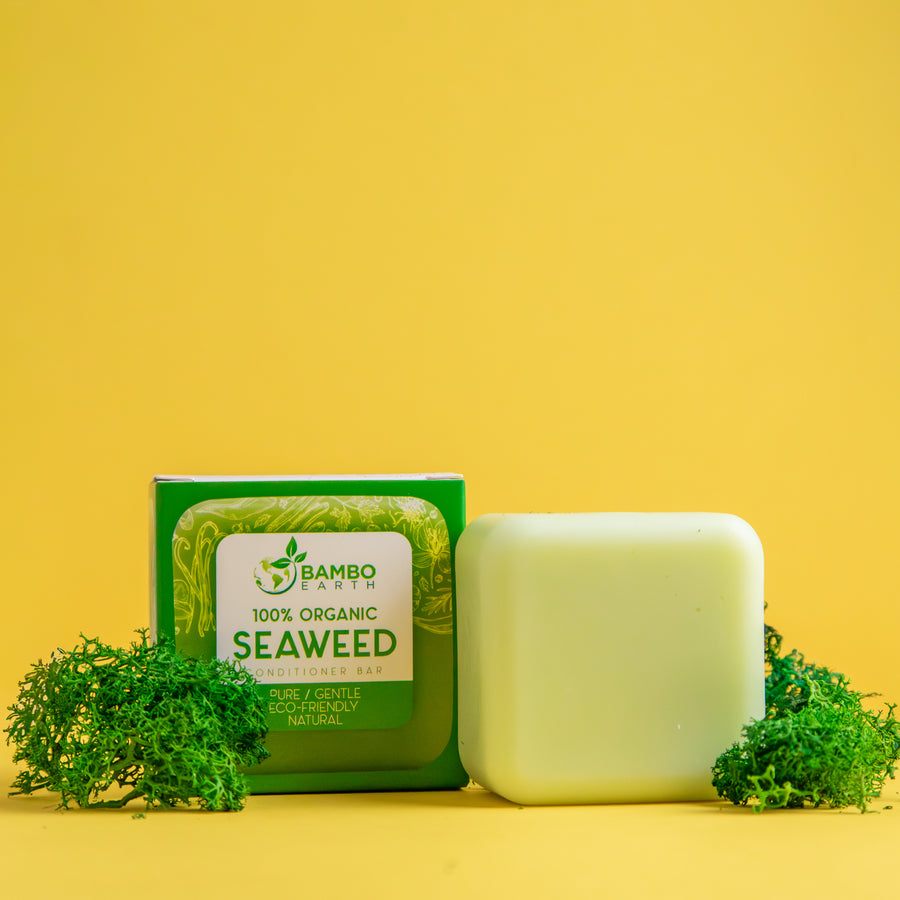 Conditioner Bar With Seaweed